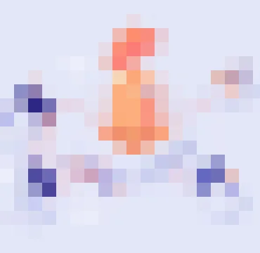 黑白体育