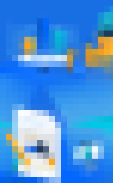 黑白体育